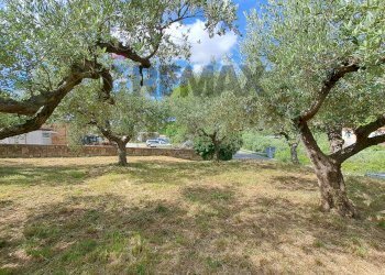 Giardino - Terreno edificabile Contrada Marcianese, Lanciano - foto 6