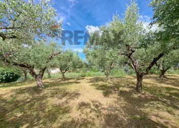 Giardino - Terreno edificabile Contrada Marcianese, Lanciano - foto 7