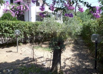 Giardino - Casa indipendente Sant'Apollinare, Via Piave
 
66, San Vito Chietino - foto 11