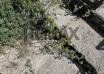 Giardino - Rustico Morge
 
28, Altino - foto 25