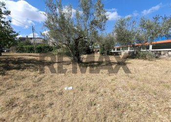 Giardino - Terreno edificabile Via per Treglio
68, Lanciano - foto 3