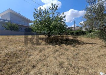 Giardino - Terreno edificabile Via per Treglio
68, Lanciano - foto 5