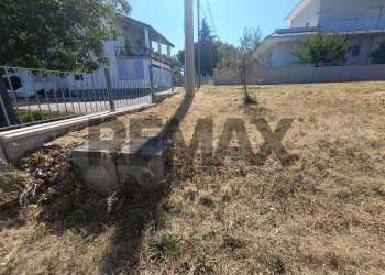 Giardino - Terreno edificabile Via per Treglio
68, Lanciano - foto 7