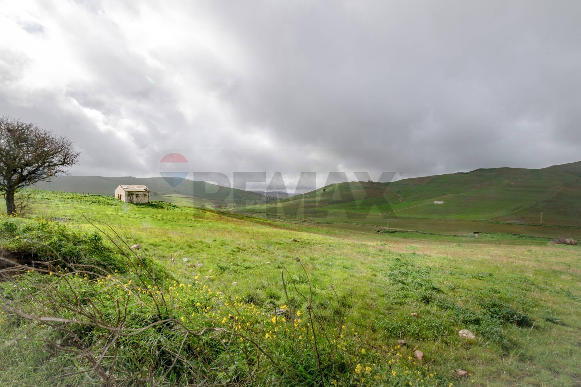 Vista delle montagne - Terreno agricolo Contrada Sant'Agata
 
snc, Piana degli Albanesi - foto 1
