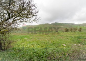 Vista delle montagne - Terreno agricolo Contrada Sant'Agata
snc, Piana degli Albanesi - foto 5