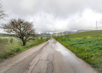 Vista delle montagne - Terreno agricolo Contrada Sant'Agata
snc, Piana degli Albanesi - foto 10
