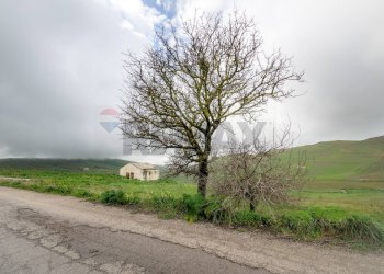 Non correlato - Terreno agricolo Contrada Sant'Agata
snc, Piana degli Albanesi - foto 11