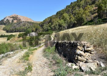 Vista delle montagne - Rustico SP102 CONTRADA MAGANOCE
 
SNC, Piana degli Albanesi - foto 18