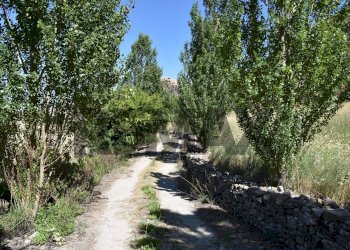 Giardino - Rustico SP102 CONTRADA MAGANOCE
 
SNC, Piana degli Albanesi - foto 40