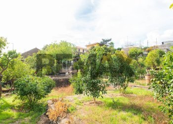 Giardino - Villa Viale Delle Olimpiadi
 
16, Catania - foto 6