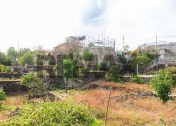 Giardino - Villa Viale Delle Olimpiadi
 
16, Catania - foto 7