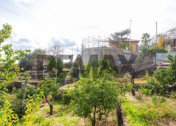 Giardino - Villa Viale Delle Olimpiadi
 
16, Catania - foto 9