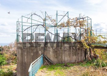 Giardino - Villa Viale Delle Olimpiadi
 
16, Catania - foto 12