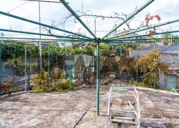 Giardino - Villa Viale Delle Olimpiadi
 
16, Catania - foto 19
