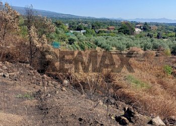 Vista delle montagne - Agricultural land Via Pennisi Petrone
snc, Zafferana Etnea - photo 11