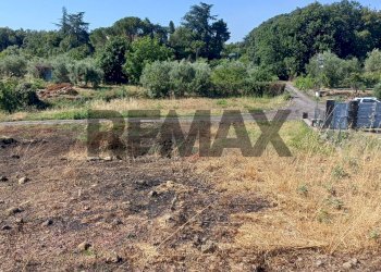 Giardino - Agricultural land Via Pennisi Petrone
snc, Zafferana Etnea - photo 15