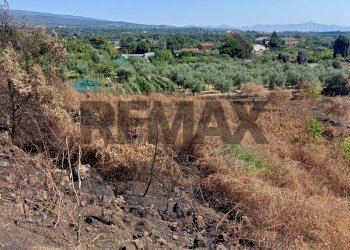 Vista delle montagne - Agricultural land Via Pennisi Petrone
snc, Zafferana Etnea - photo 17