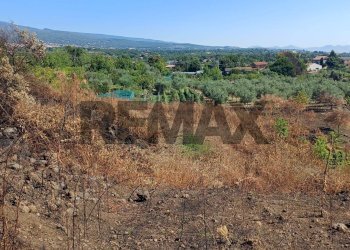 Vista delle montagne - Agricultural land Via Pennisi Petrone
snc, Zafferana Etnea - photo 18