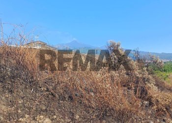 Vista delle montagne - Agricultural land Via Pennisi Petrone
snc, Zafferana Etnea - photo 19