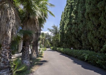 Giardino - Appartamento Via Vincenzo Bellini
 
8, Gravina di Catania - foto 46