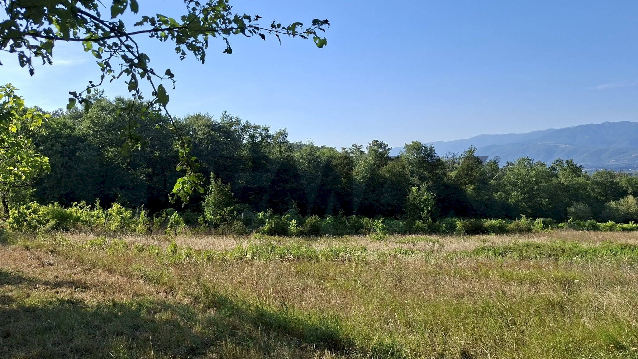 Vista delle montagne - Terreno agricolo via nazionale poggio bagnoli
snc, Laterina Pergine Valdarno - foto 3
