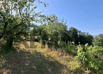 Giardino - Terreno agricolo via nazionale poggio bagnoli
snc, Laterina Pergine Valdarno - foto 8