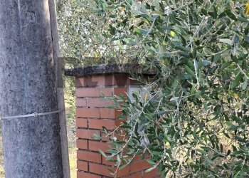 Casa all\'aperto - Terreno agricolo via nazionale poggio bagnoli
snc, Laterina Pergine Valdarno - foto 16