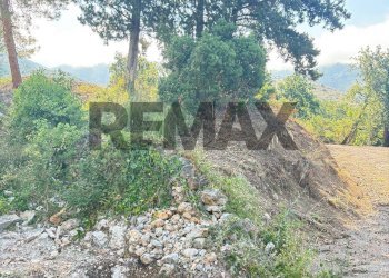 Giardino - Apartment VIA CANONICA
 
S. N. C., Maratea - photo 74