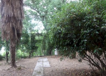 Giardino - Villa via Madonna delle Grazie
 
snc, Roccamontepiano - foto 6