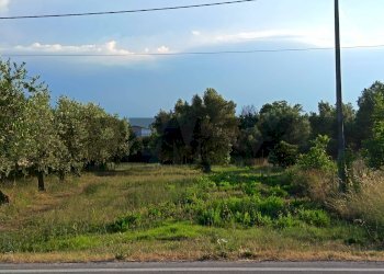 Vista dell\'acqua - Agricultural land Contrada San Marco
 
snc, Ortona - photo 4