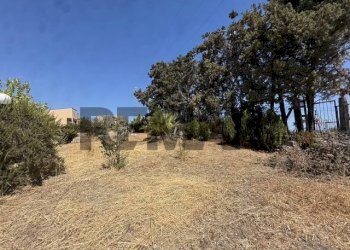 Giardino - Villa Contrada Salina
 
s.n.c., Trabia - photo 6
