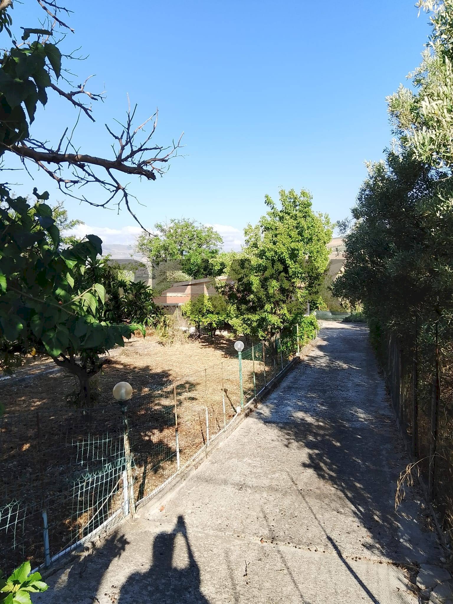 Giardino - Villa C.da Mortilli
snc, San Giuseppe Jato - photo 3