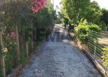 Giardino - Villa C.da Mortilli
 
snc, San Giuseppe Jato - photo 4