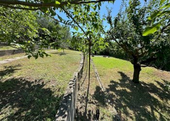 Giardino - Villa via Trefaldina, 11, Scanzorosciate - foto 40