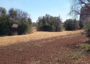 Terreno - Agricultural land via Roma, Sannicola - photo 6