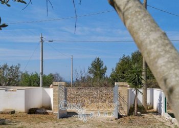 Terreno - Villa SP194, Sannicola - foto 4