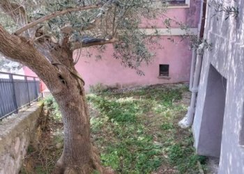 Giardino - Independent house via Giacomo Leopardi, 18, Poggio San Vicino - photo 7