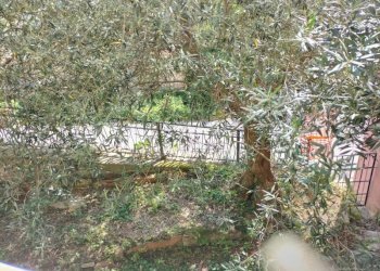 Balcone - Independent house via Giacomo Leopardi, 18, Poggio San Vicino - photo 9