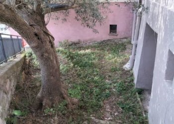 Giardino - Independent house via Giacomo Leopardi, 18, Poggio San Vicino - photo 10