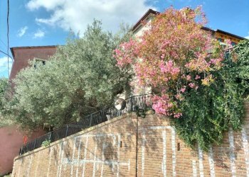 Giardino - Independent house via Giacomo Leopardi, 18, Poggio San Vicino - photo 11