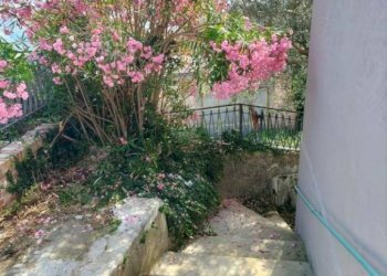 Giardino - Independent house via Giacomo Leopardi, 18, Poggio San Vicino - photo 31