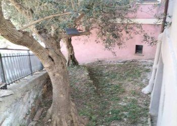 Giardino - Casa indipendente via Giacomo Leopardi, 18, Poggio San Vicino - foto 40