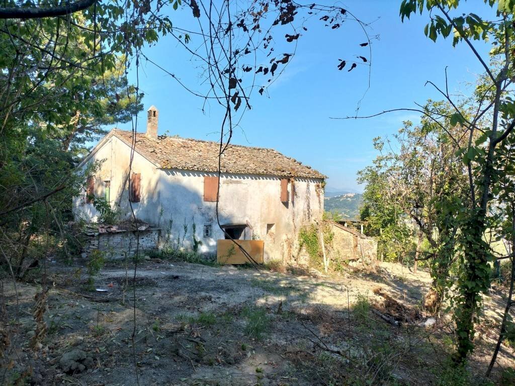 Terreno - Rustico via Tufi, Maiolati Spontini - foto 2