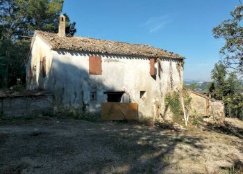 Terreno - Rustico via Tufi, Maiolati Spontini - foto 4