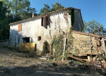 Terreno - Rustico via Tufi, Maiolati Spontini - foto 5