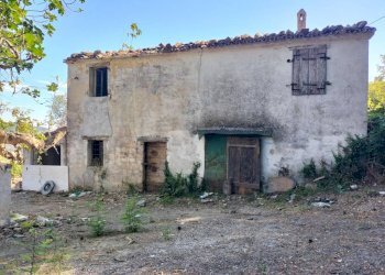 Terreno - Rustico via Tufi, Maiolati Spontini - foto 6