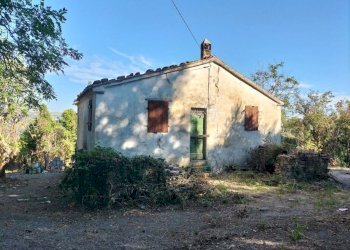 Terreno - Rustico via Tufi, Maiolati Spontini - foto 7