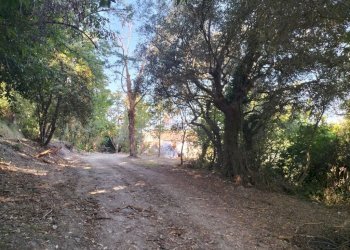 Terreno - Rustico via Tufi, Maiolati Spontini - foto 18