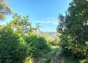 Terreno - Rustico via Tufi, Maiolati Spontini - foto 21