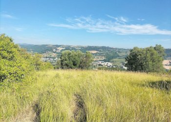Terreno - Rustico via Tufi, Maiolati Spontini - foto 23